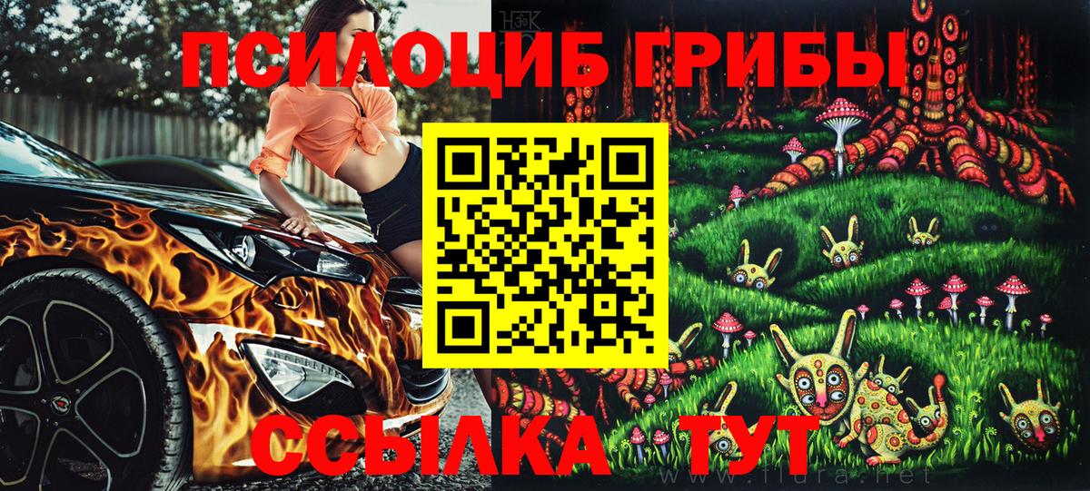 Галлюциногенные грибы Psilocybe  Вход с VPN  Чебоксары 
