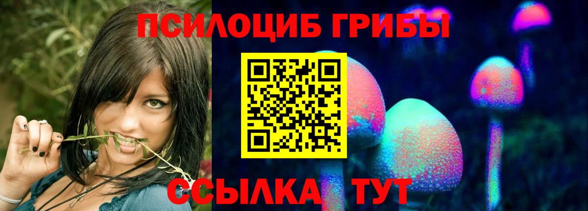 Галлюциногенные грибы MAGIC MUSHROOMS Чебоксары